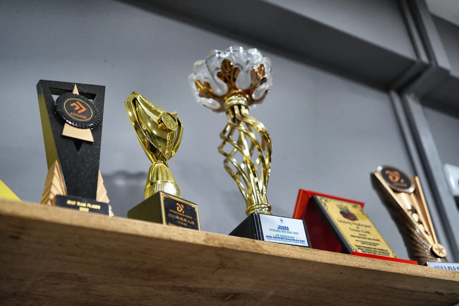 Competition trophies on the shelf