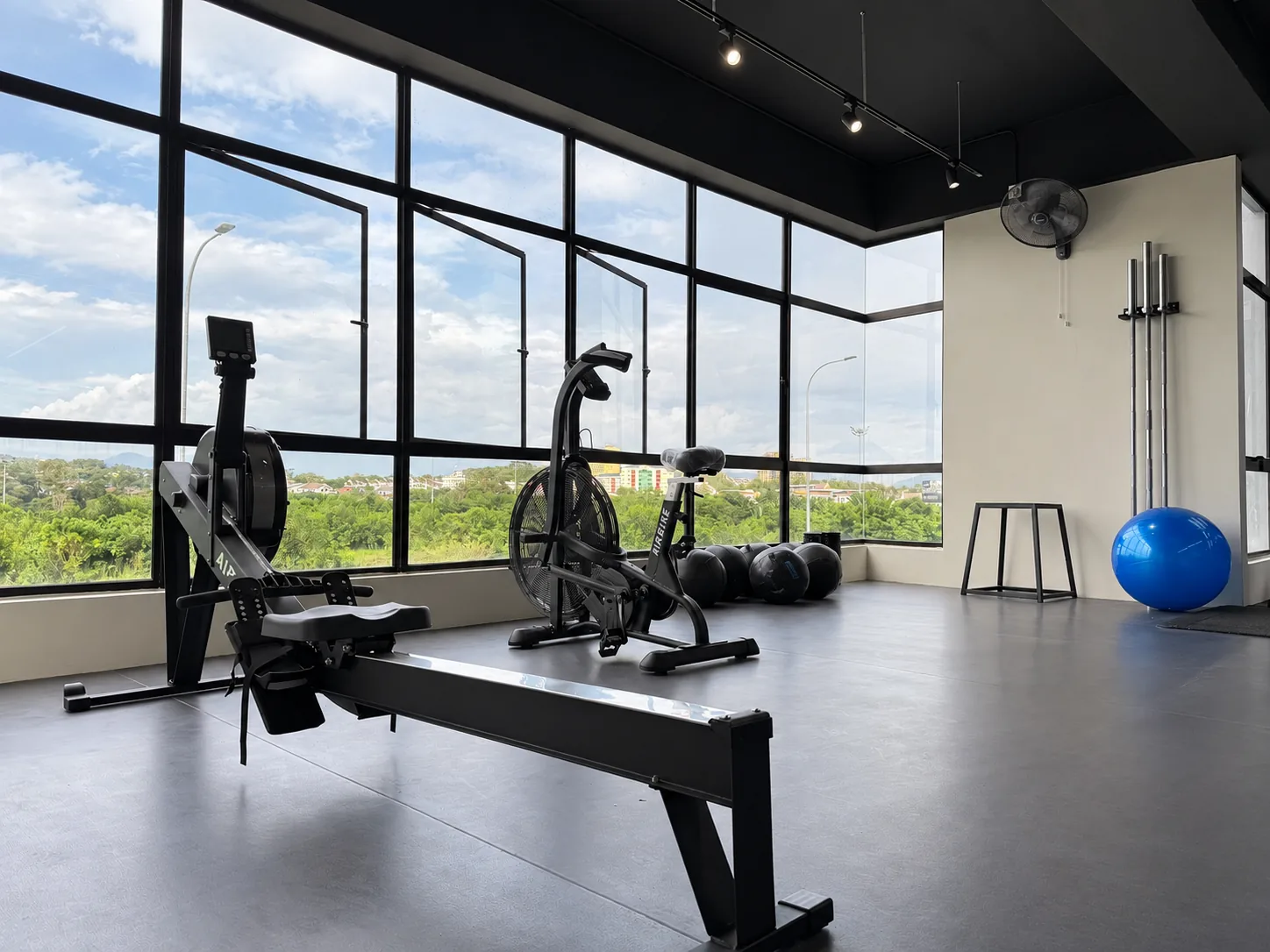 Rower and air bike by the windows